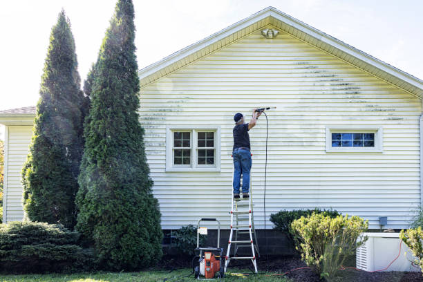 Best Solar Panel Cleaning  in Olyphant, PA